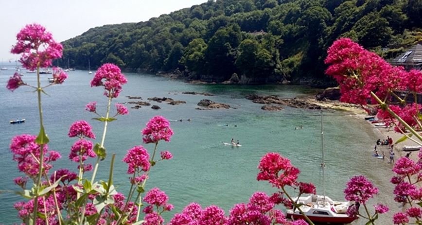 Cawsand View
